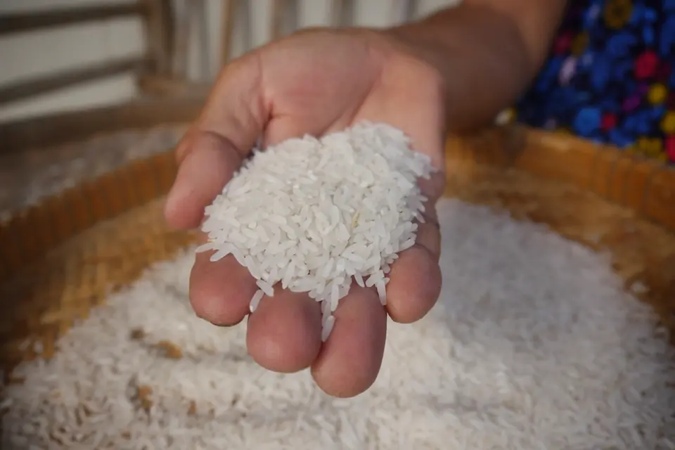 A hand holding a scoop of uncooked white rice above a basket